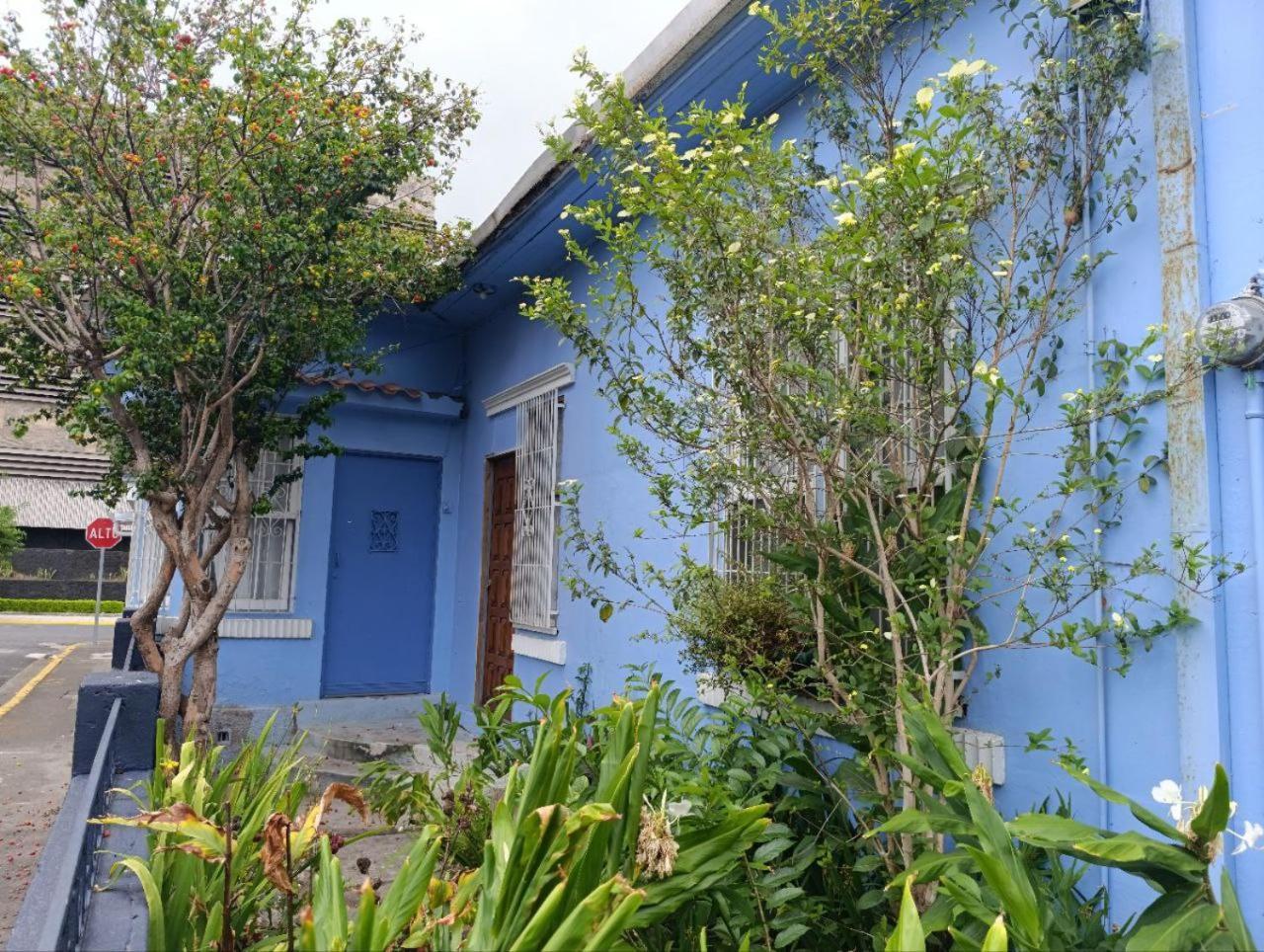 Hostel Casa Ridgway San Jose (San Jose) Exterior foto