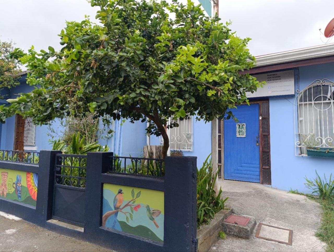 Hostel Casa Ridgway San Jose (San Jose) Exterior foto